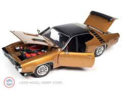 1:18 1971 Plymouth Road Runner Hardtop (Class of 1971)