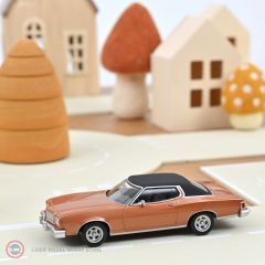 1:43 1974 Ford Gran Torino - (Jet Car)