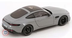 1:18 NZG 2024 Mercedes Benz AMG GT43 C192