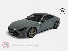 1:12 NZG 2024 Mercedes Benz AMG GT63 V8 Biturbo C192 4Matic Alpin Grey
