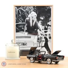 1:18 Norev 1961 Renault Floride