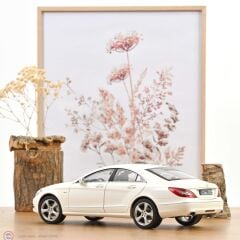 1:18 Norev 2011 Mercedes Benz CLS Coupe Brillant White