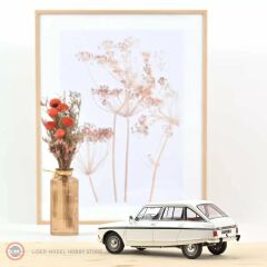 1:18 Citroën Ami Super 1974 - meije white