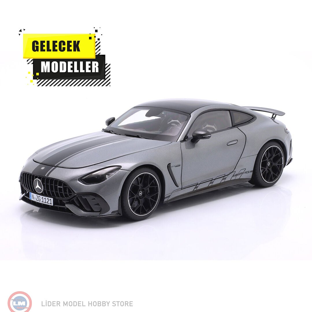 1:18 NZG Mercedes Benz AMG GT 63 PRO - selenite grey