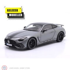 1:18 NZG Mercedes Benz AMG GT 63 PRO - selenite grey
