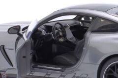 1:18 NZG Mercedes Benz AMG GT 63 PRO - selenite grey