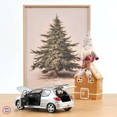 1:18 Norev 2003 Peugeot 206 RC Aluminium Silver